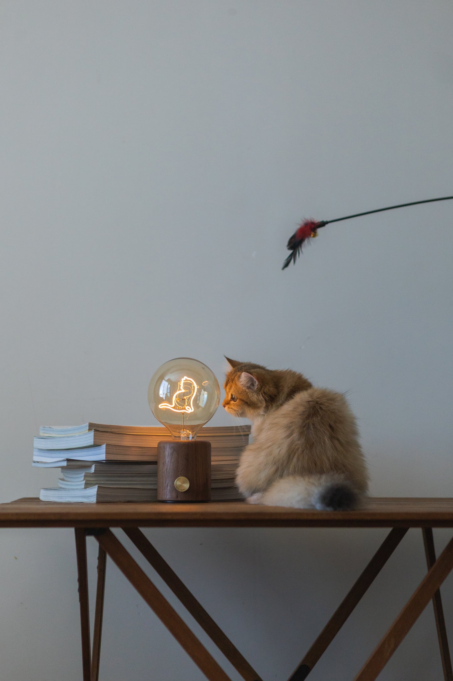 Cat series (wireless table lamp)