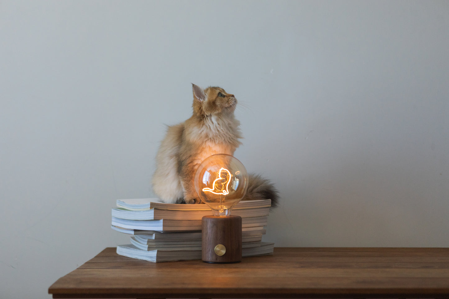 Cat series (wireless table lamp)