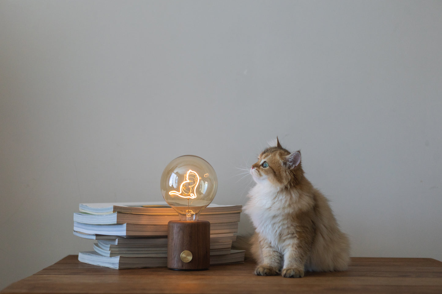 Cat series (wireless table lamp)