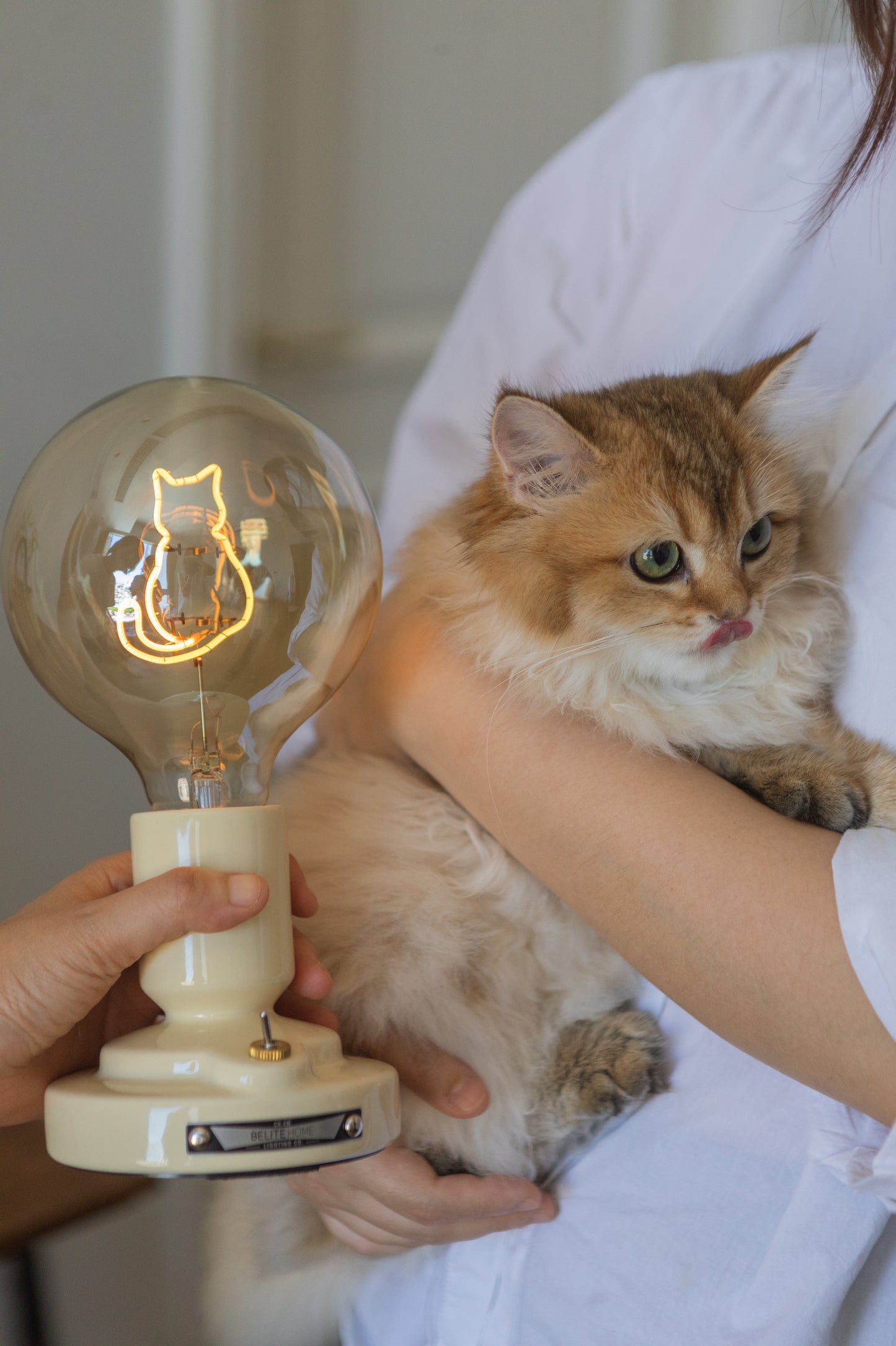 Cat series (wireless table lamp)