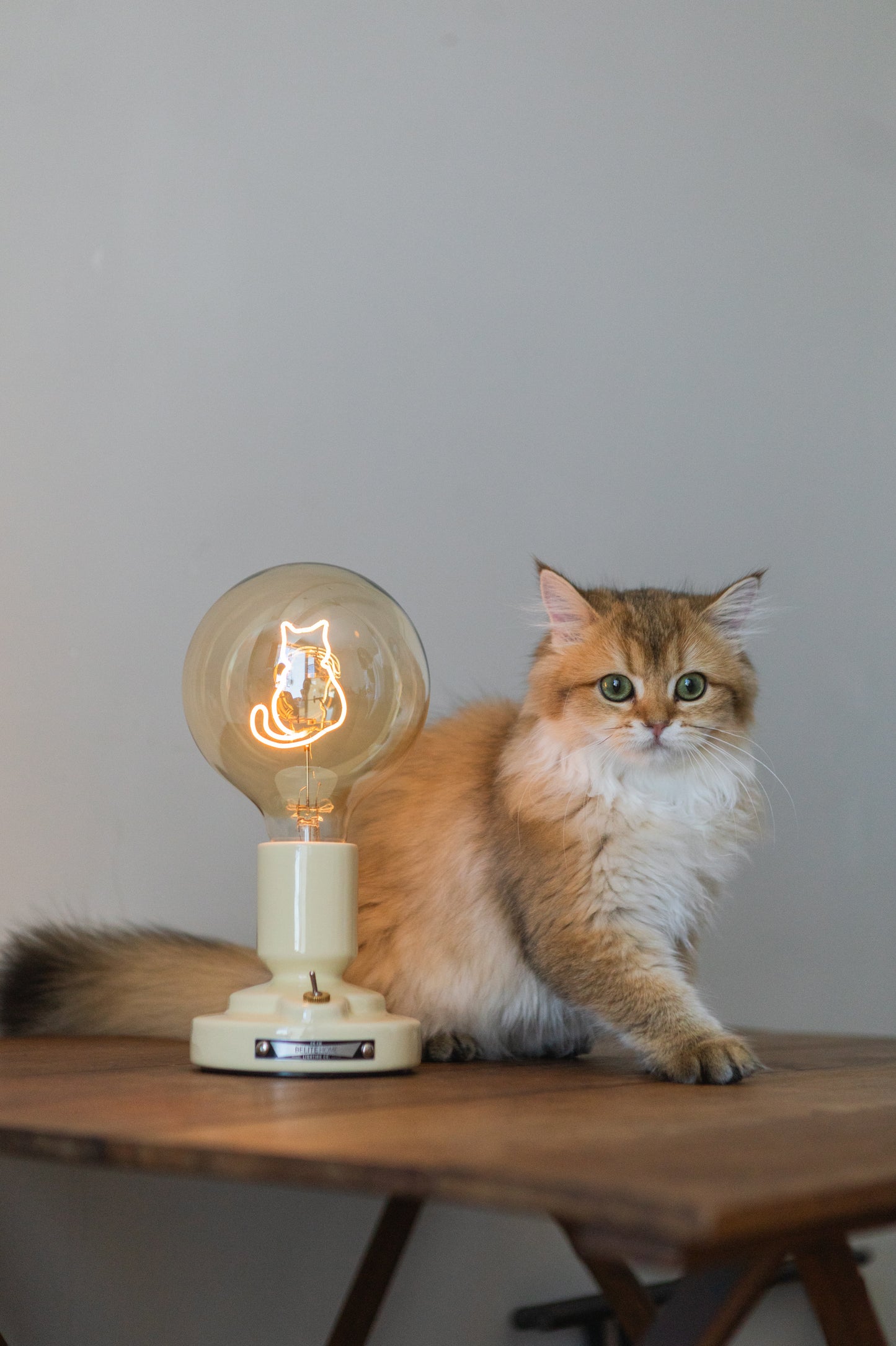 Cat series (wireless table lamp)