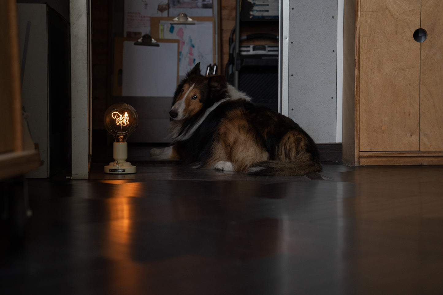 Dog series (wireless table lamp)