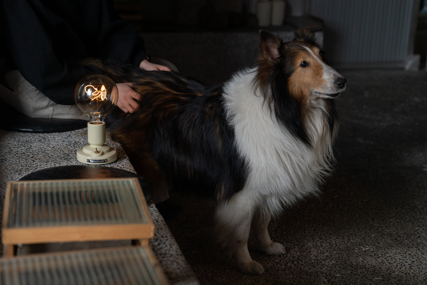 Dog series (wireless table lamp)